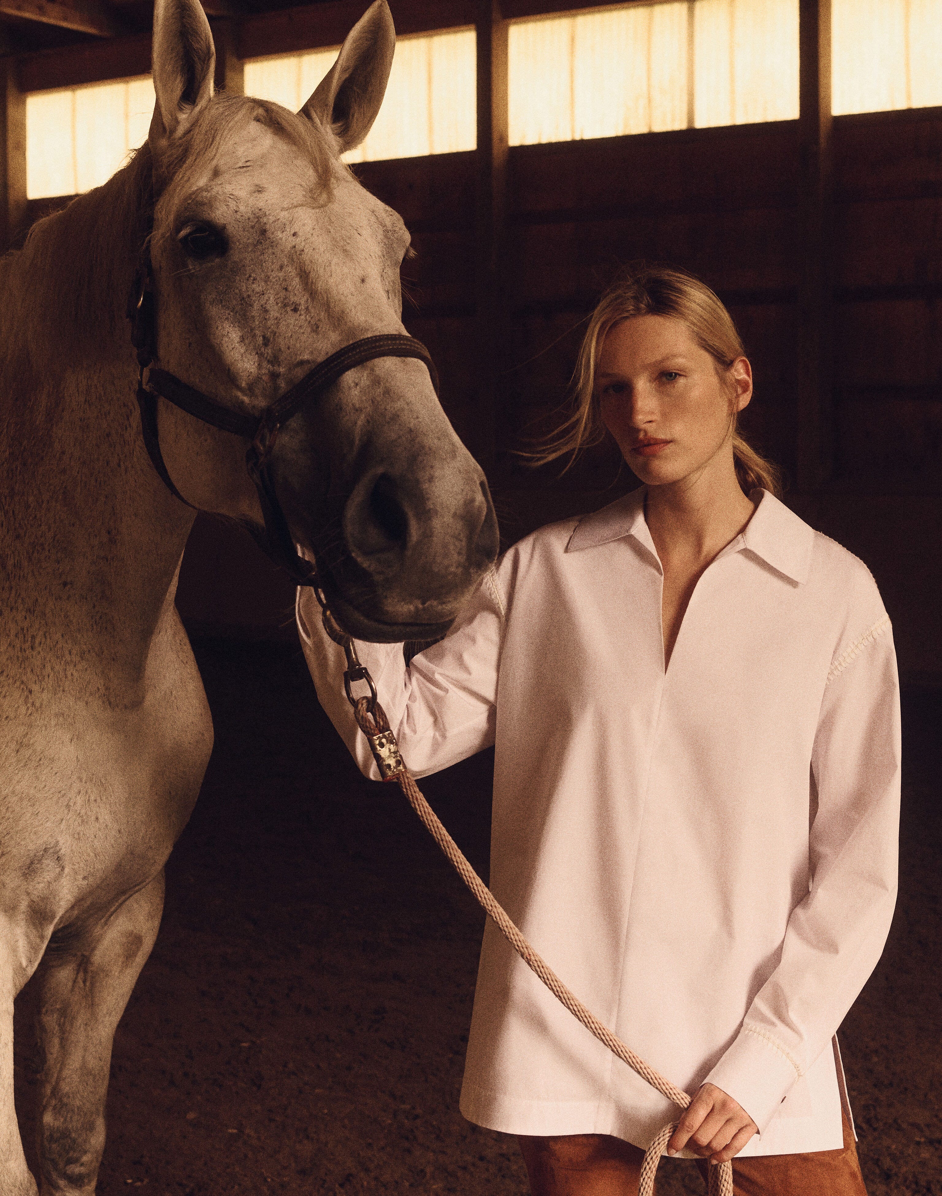 Cotton Poplin Shirt and Suede Bond Pant