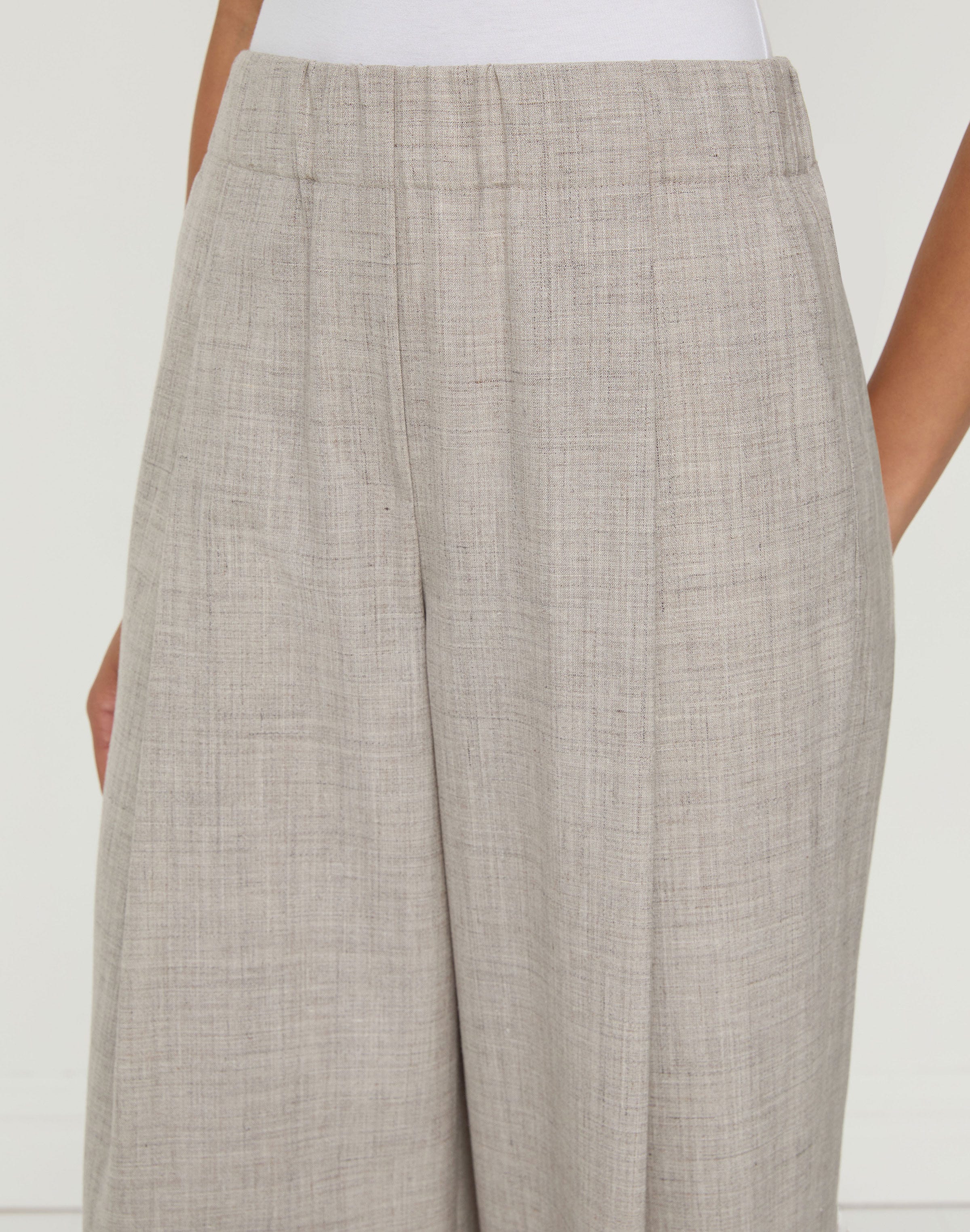 Tropical Wool-Silk Astor Pleated Wide Leg Pant