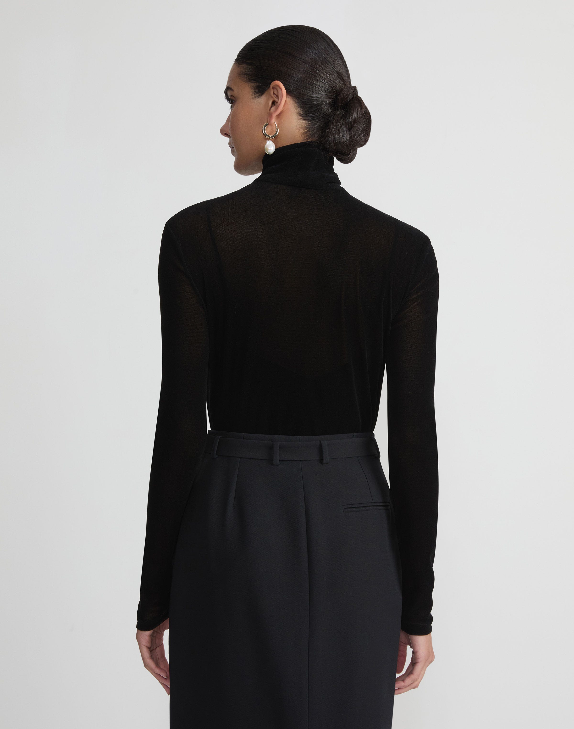Velvet Mesh Jersey Sheer Turtleneck Top